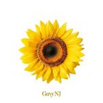 ■記事２■　Gavy-NJ、名曲リメイクで実力派ボーカルを披露